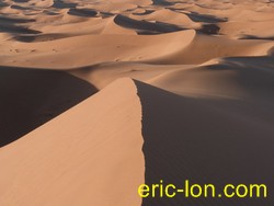 vignettes avril dunes